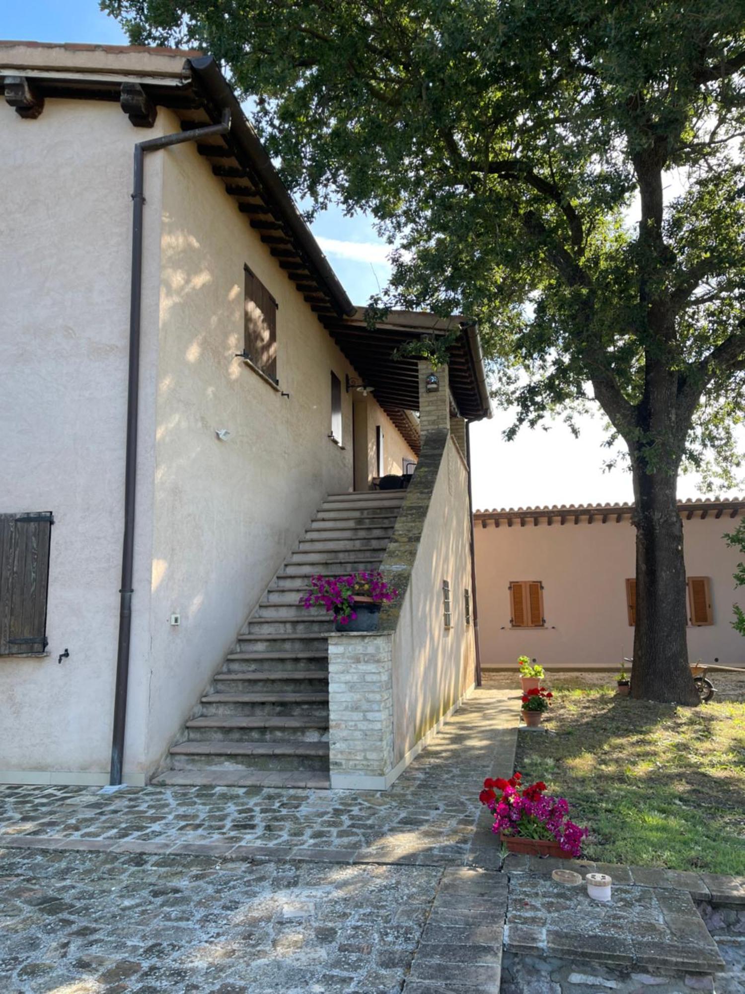 Le Ghiande Guest House Spello Exterior foto
