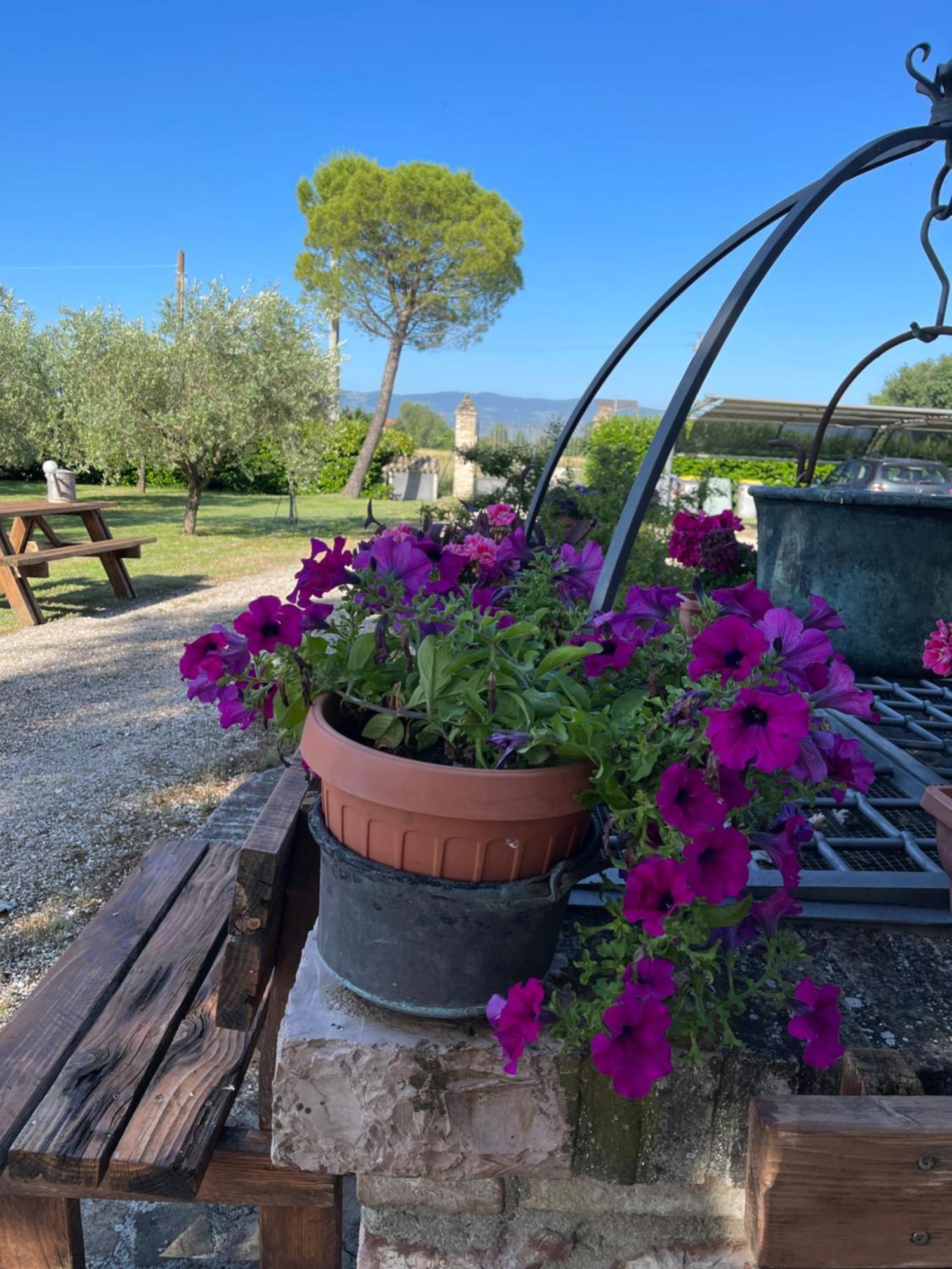 Le Ghiande Guest House Spello Exterior foto
