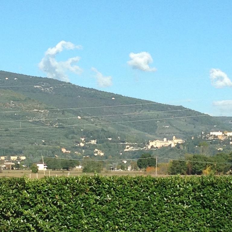Le Ghiande Guest House Spello Exterior foto