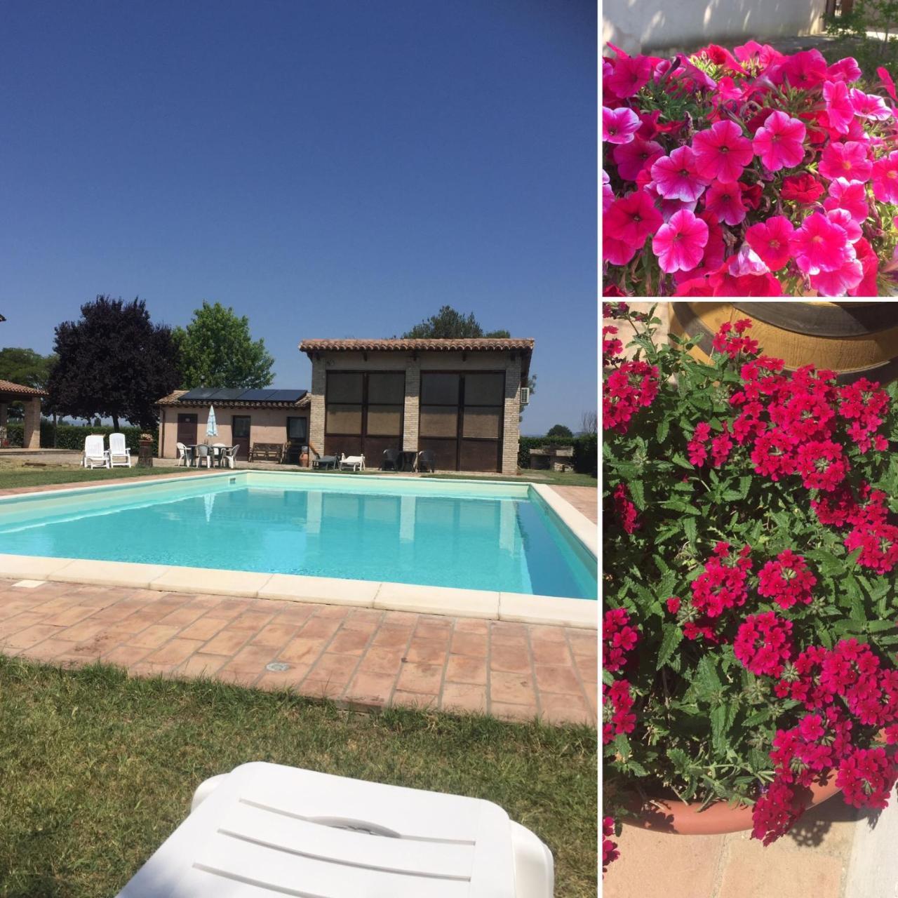 Le Ghiande Guest House Spello Exterior foto